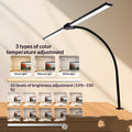 Double-head LED Eye-care Desk Lamp With A Long Arm